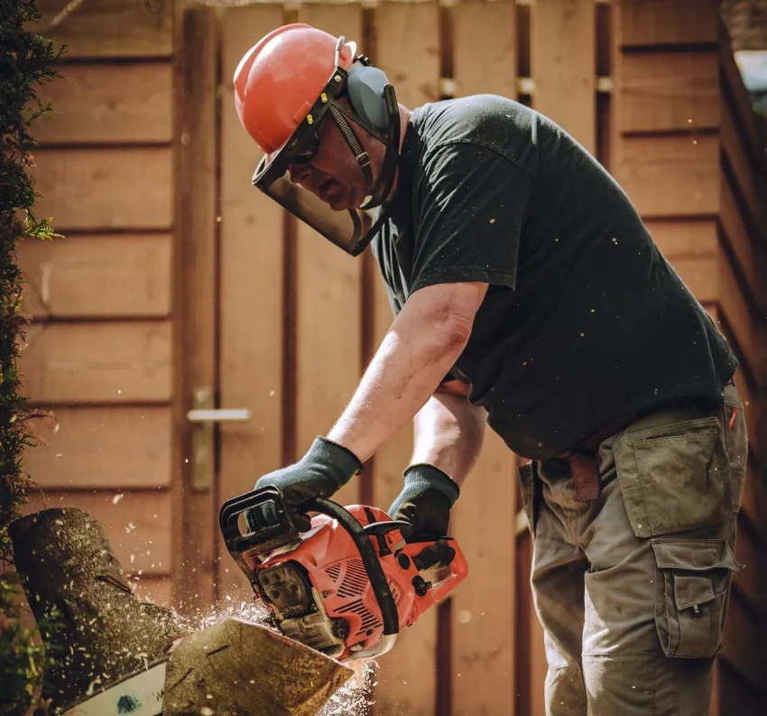 Worker cutting log with chainsaw